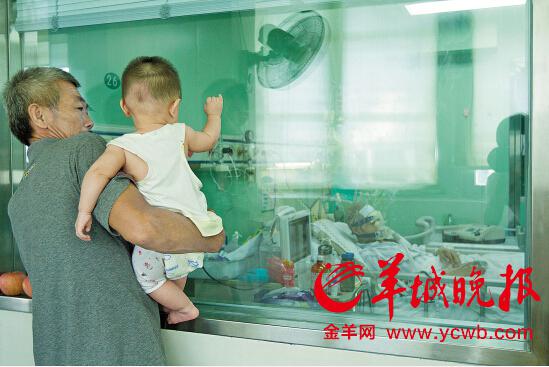 201508251440304030.jpg